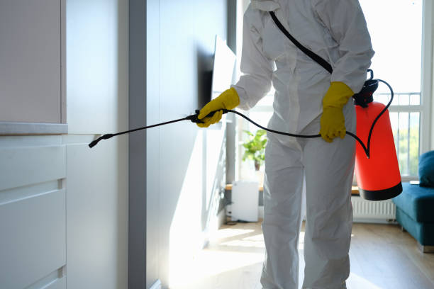 Best Industrial Mold Remediation in Burnham, IL