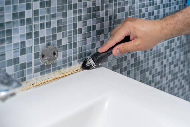 Best Mold Testing and Inspection Services in Burnham, IL