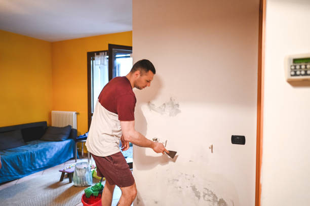 Best Post-Flood Mold Remediation in Burnham, IL